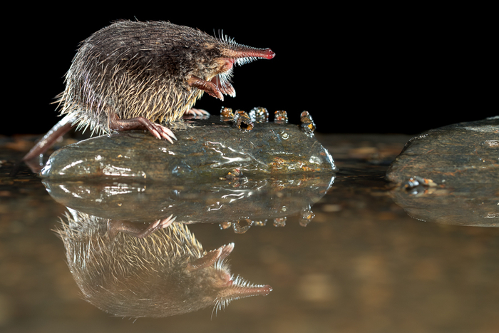 � ������ ��� ���������! � �� ��� �� ������ �����!