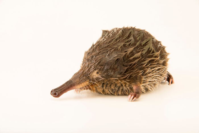 ����������: ����������� ��������!