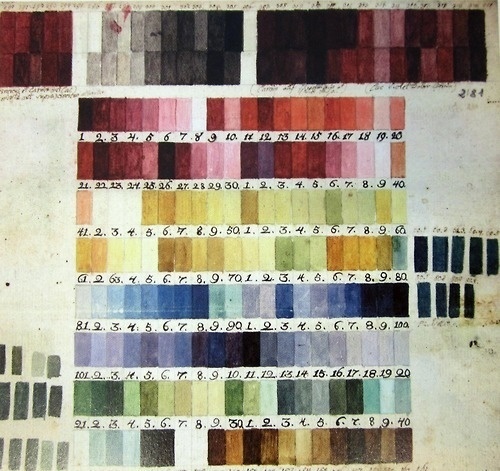 Пример цветового кодирования Бауэра. Фото с сайта <!--noindex--><a href="https://pikabu.ru/story/botanicheskaya_illyustratsiya_khudozhniki_bauyeryi_13495878?u=http%3A%2F%2Fdxlab.sl.nsw.gov.au&t=dxlab.sl.nsw.gov.au&h=3055595c91de26f5911b8011b2bc65af625e2651" title="http://dxlab.sl.nsw.gov.au" target="_blank" rel="nofollow noopener">dxlab.sl.nsw.gov.au</a><!--/noindex-->.