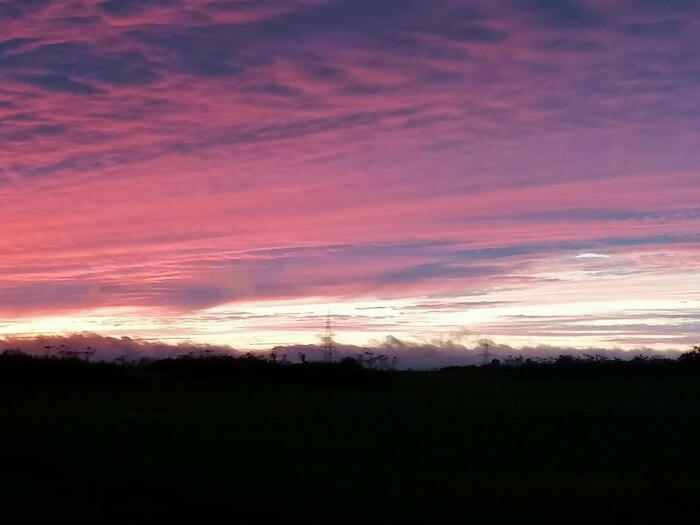 ������������ �����