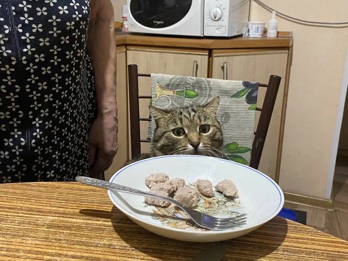 Ответ на пост «Лучший кадр 2025 года»