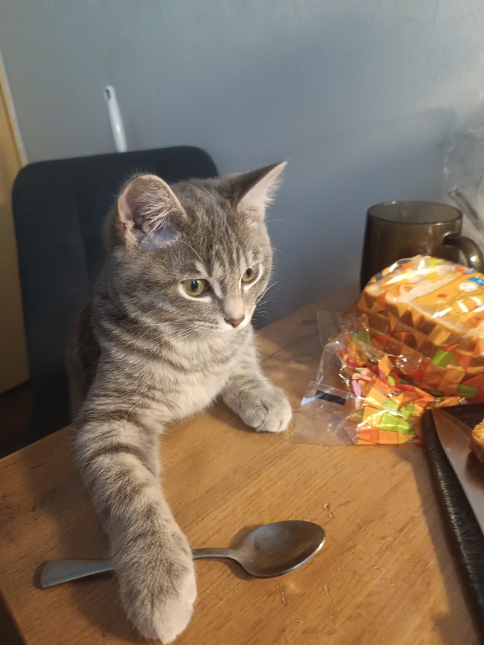 Мой лучший кадр 2025