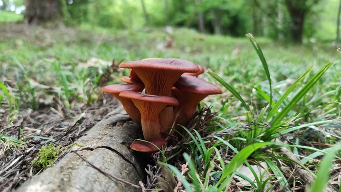 Ответ на пост «Лучший кадр 2025 года»