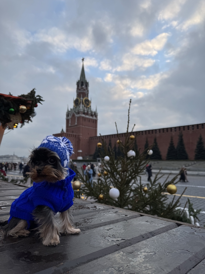 Ответ на пост «Лучший кадр 2025 года»