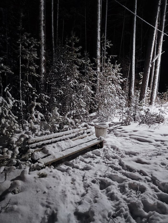 Ответ на пост «Лучший кадр 2025 года»