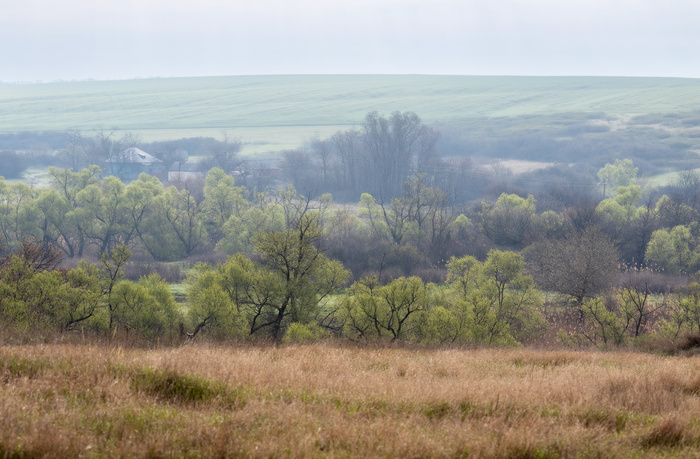 Весна у хутора Груцинов
