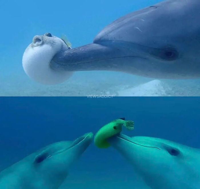 9 класс издевается над пухляшом пятиклассником.