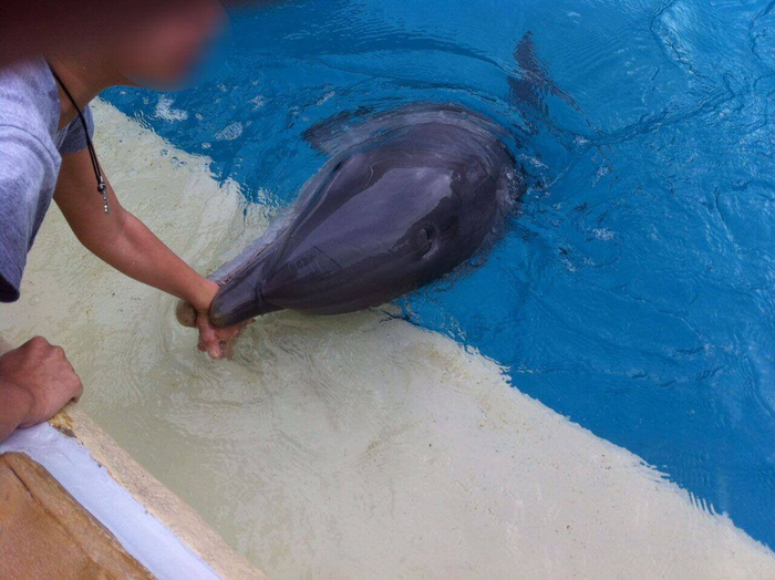 Хочешь, чтобы я отпустил руку? Переписывай квартиру на меня!