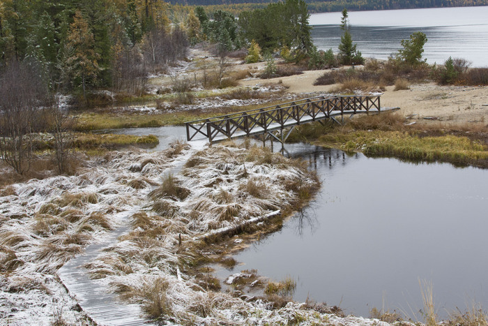 Мост через реку в ее устье