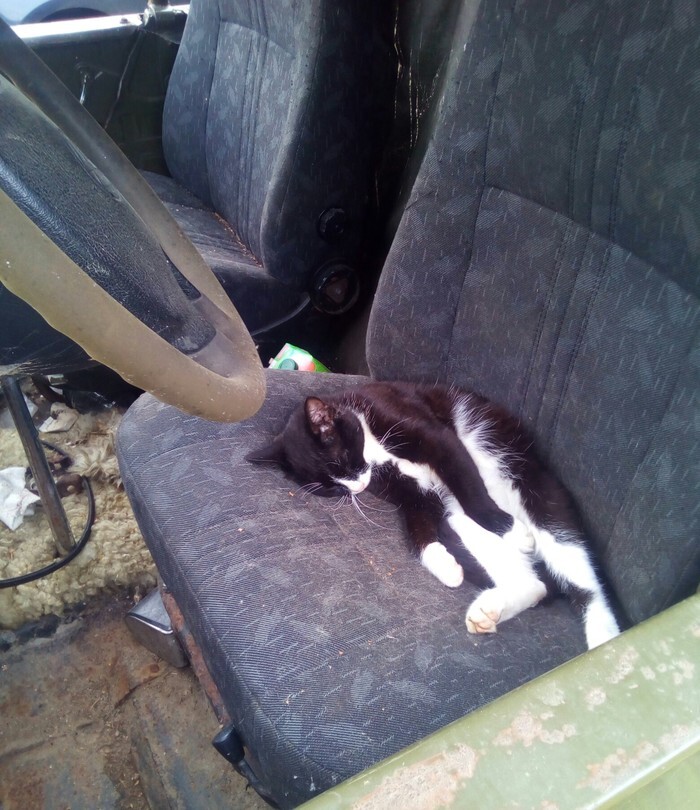 Шофер устал