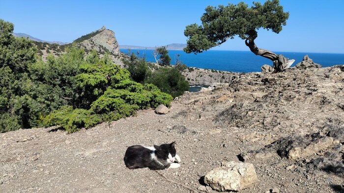 Фотографировал летом в Крыму, Новый Свет