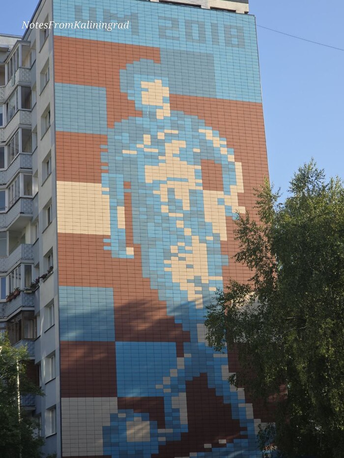 � ����� ��� 2018 ����