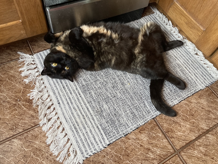 ����� �� ���� ���� ������ ���������� ����