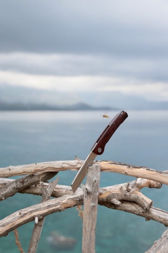 Лучший кадр 2025