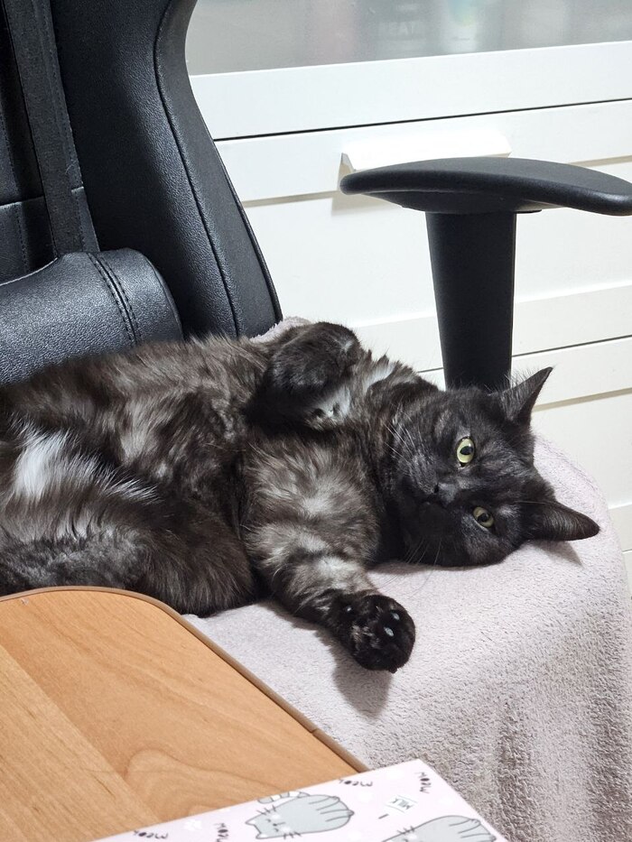 ����� �� ���� ���� ������ ���������� ����