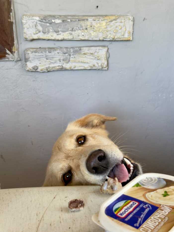 Ответ на пост «Лучший кадр 2025 года»