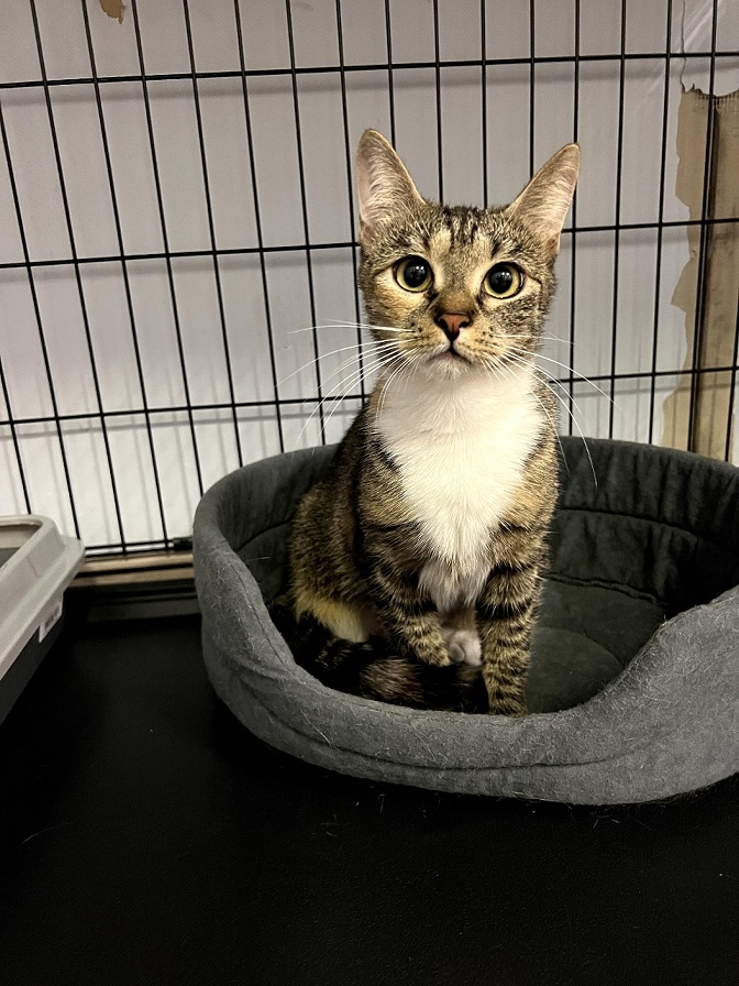 Марфа опять в приюте