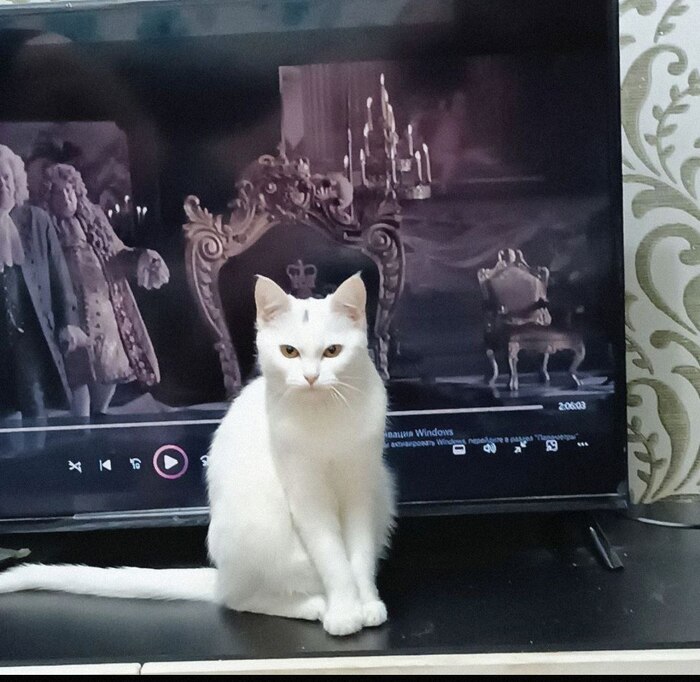 ����� �� ���� ���� ������ ���������� ����