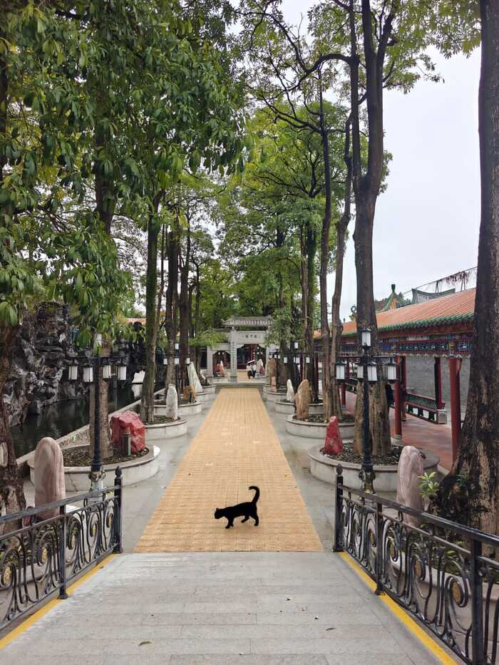 ����� �� ���� ���� ������ ���������� ����