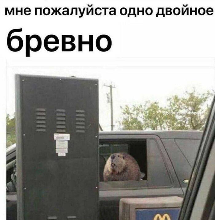 ... С бирюзовой колой