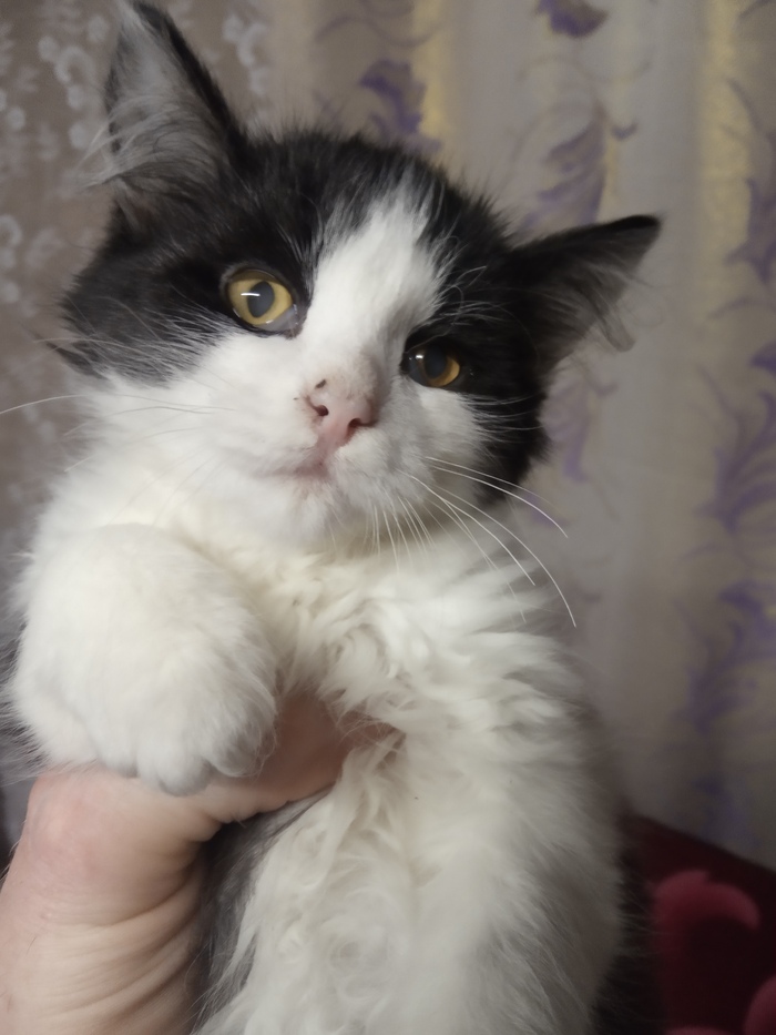 Позже обнаружились проблемы