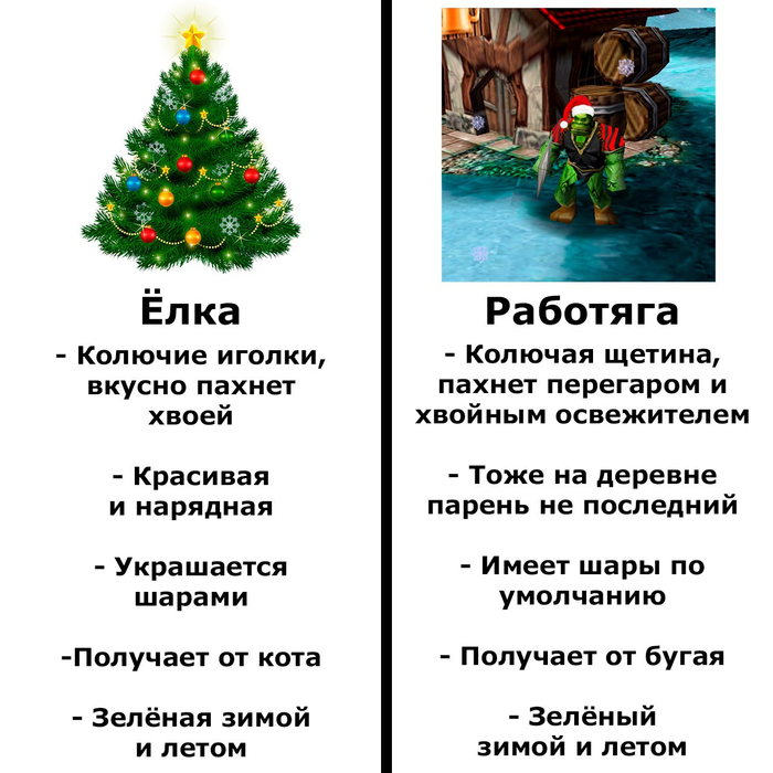 Что же лучше на НГ?