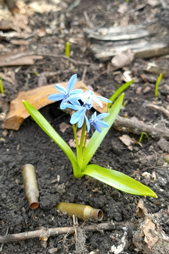 Ответ на пост «Лучший кадр 2025 года»