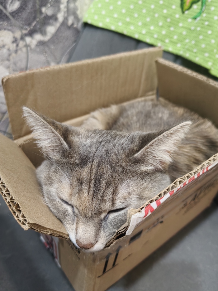 Главное коробка, а размер не важен