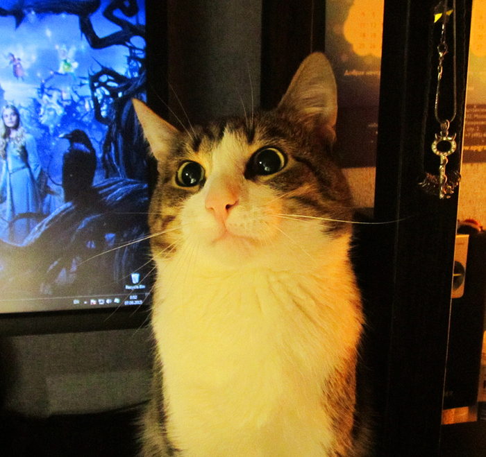 дусенька-мусенька, фуфысенька и сладкий пирожочек