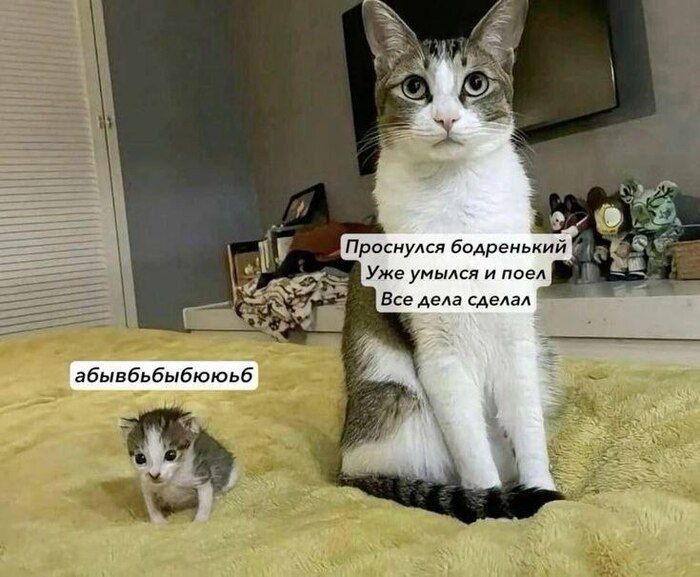 Завидую, блин