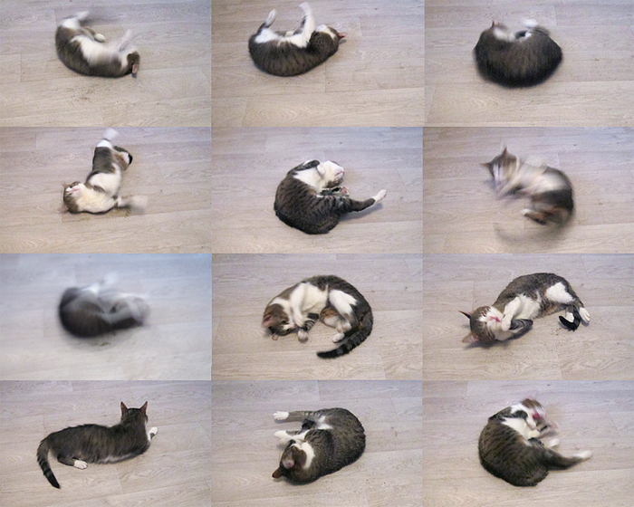 фристайло, ракамакафо!!!