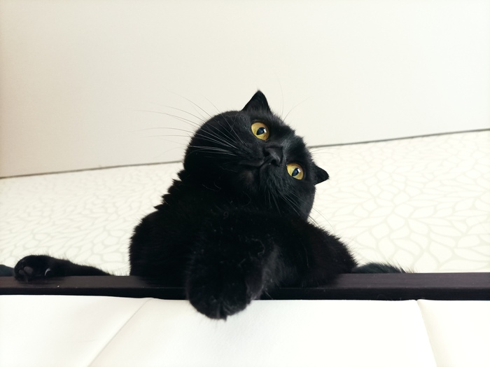 Самая сладкая булочка