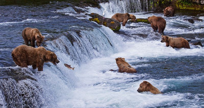 Если ваша вечеринка не похожа на эту, можете меня даже не приглашать!