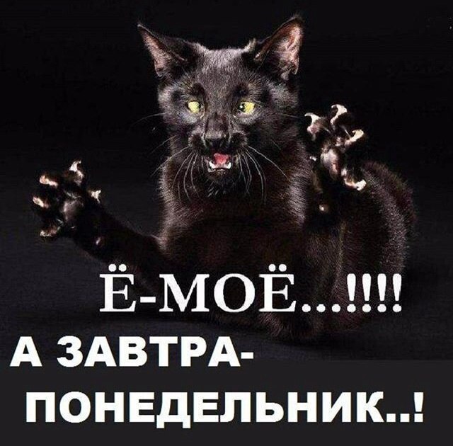 Понедельник