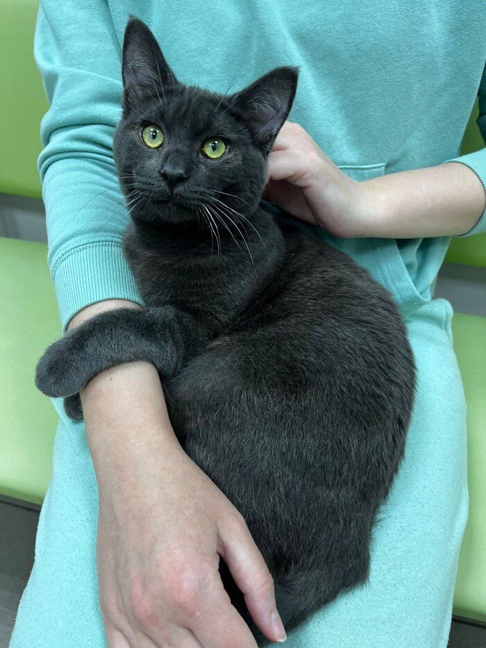 Василий ищет дом (Москва)