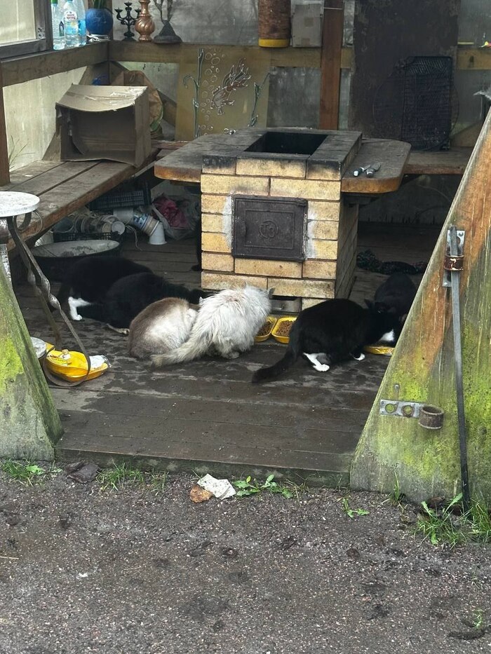 (��� �������� � ����� ���� ��� �������������, ���� ������� �� ������������)