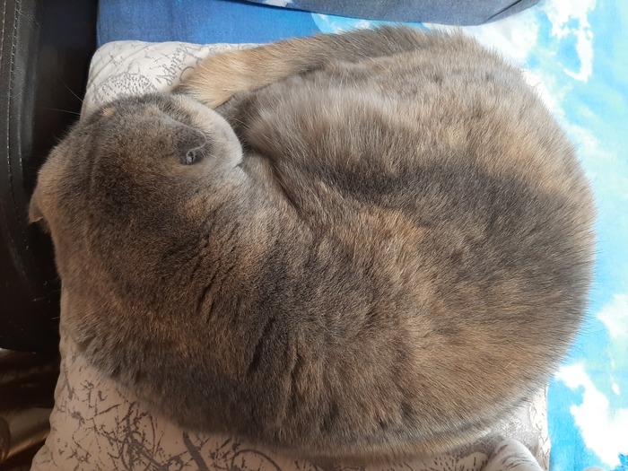 ���- ��������� ������