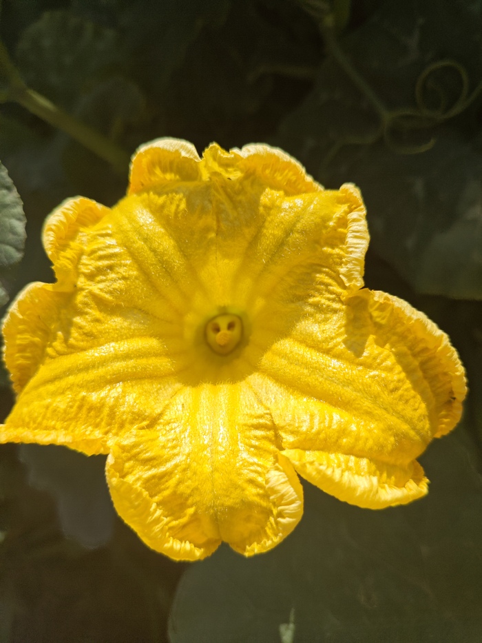 Моё лучше фото за 2025 год