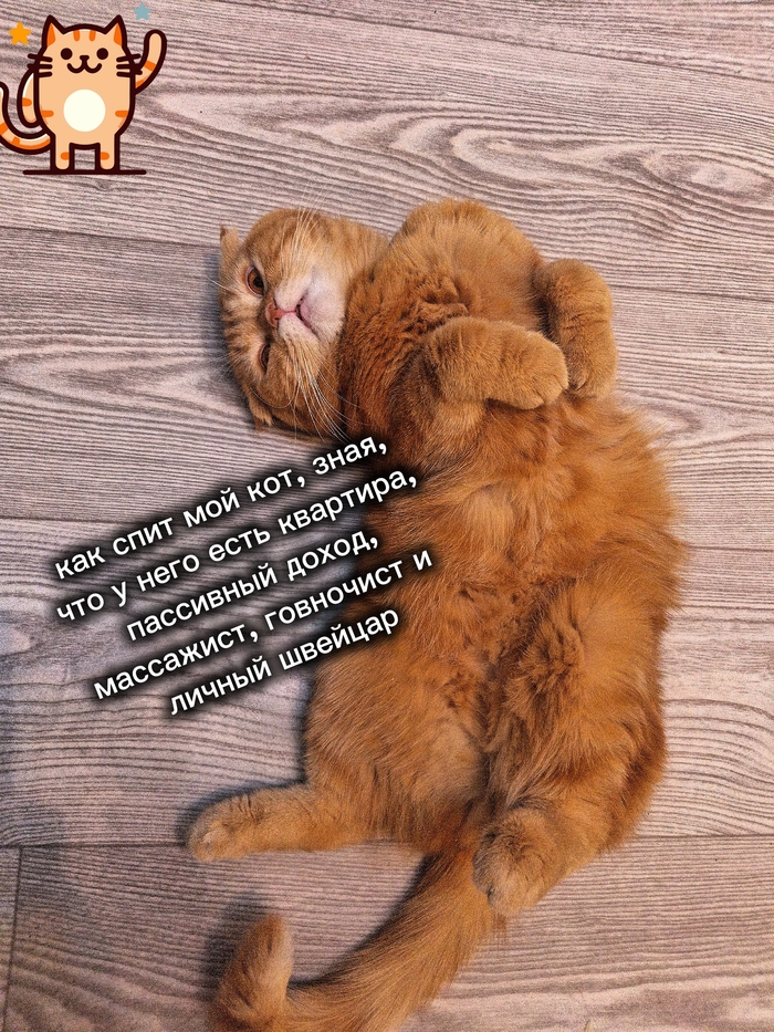 У кого такие же господа в доме?