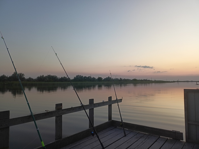 Ответ на пост «Лучший кадр 2025 года»