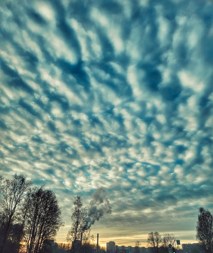 Не такой уж Питер и серенький
