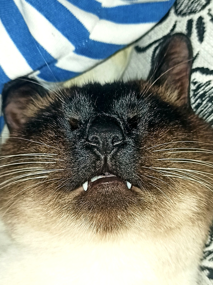 У кого такие же господа в доме?