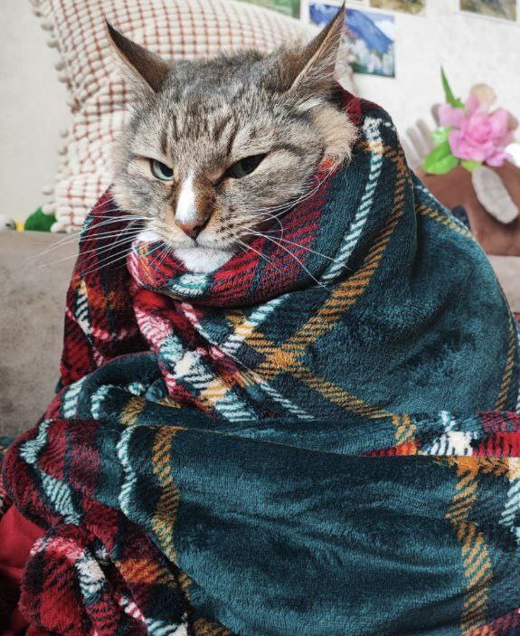 "Я все запомнил, кожаная"