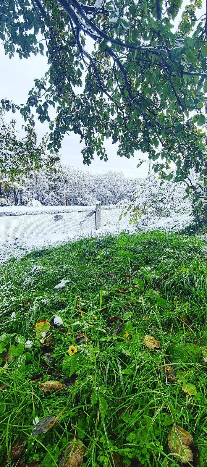 Ответ на пост «Лучший кадр 2025 года»