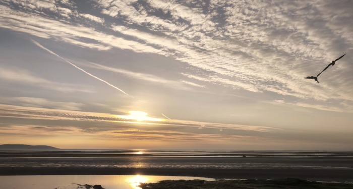 Ответ на пост «Лучший кадр 2025 года»