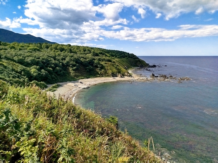 Ответ на пост «Лучший кадр 2025 года»