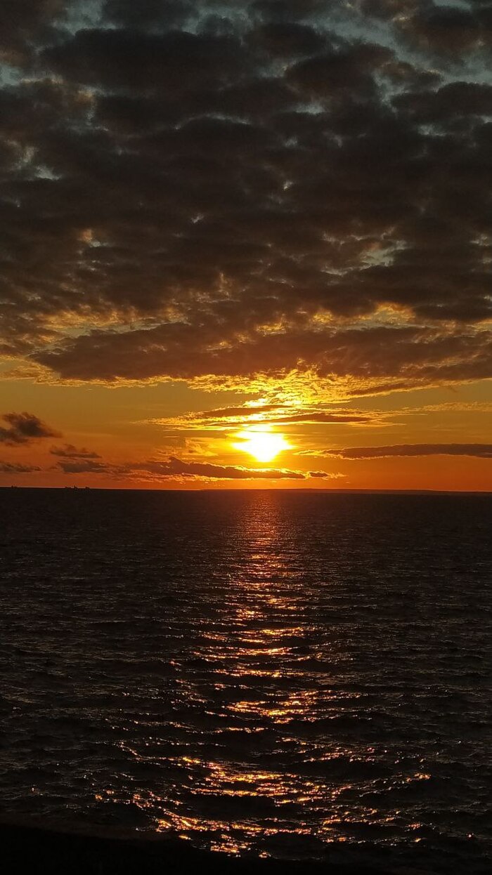 ����� �� ���� ������� ���� 2025 ����