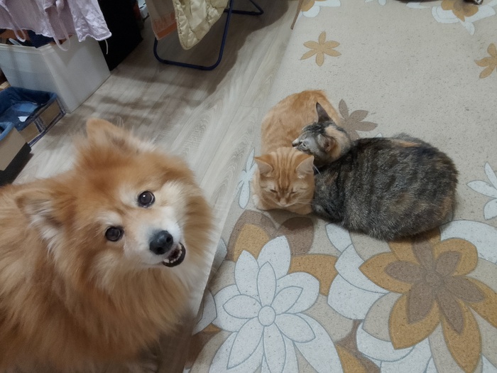 Рабочий момент жизни)