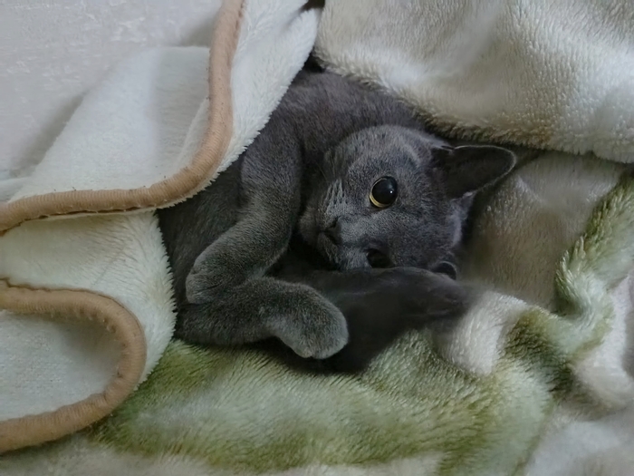 Утренняя нежность:3