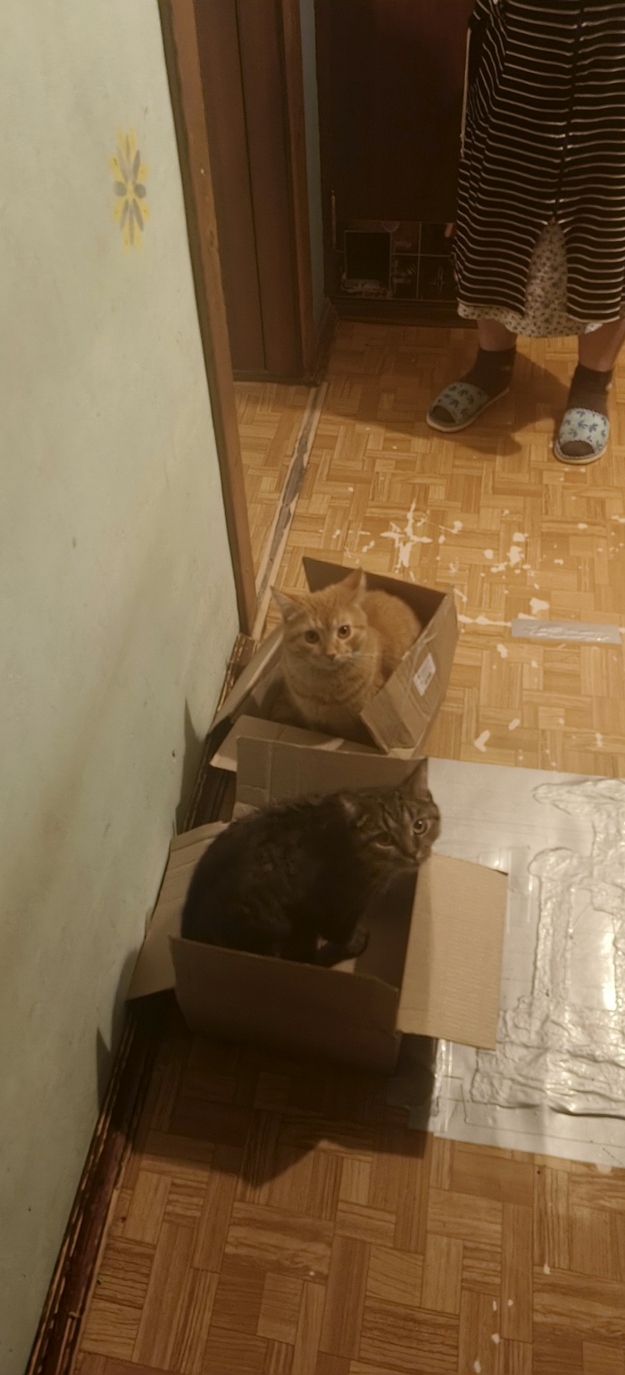 Ну тогда вот еще мешков шерсти в волну